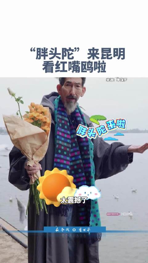 演员车保罗也来昆明看海鸥了 你童年看的《鹿鼎记》回来了