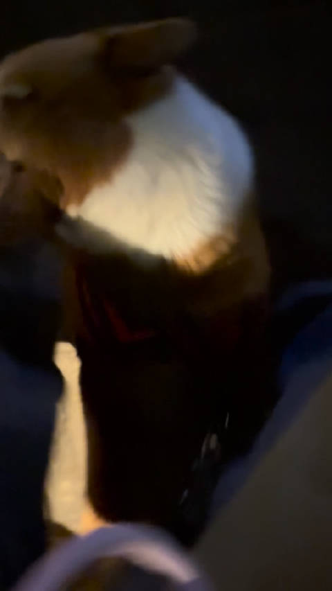 底盘太矮 下次改进