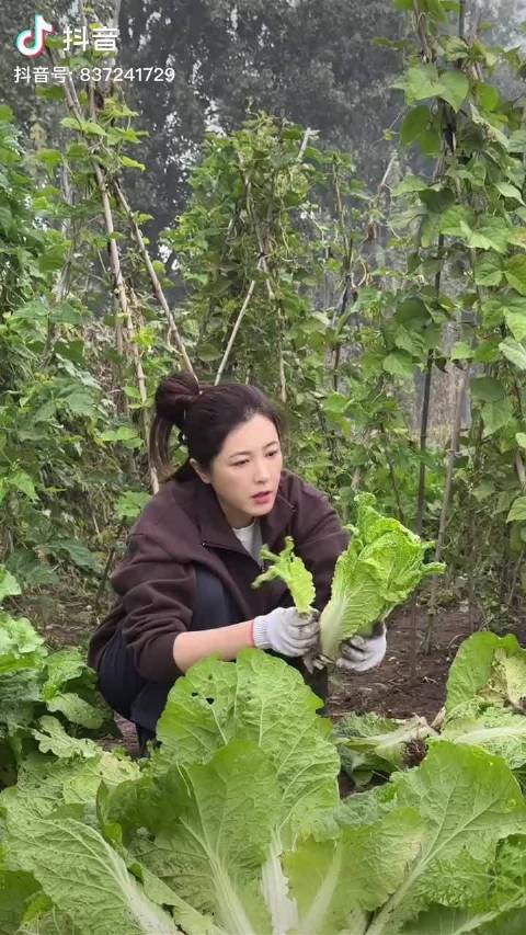 掰白菜用什么台词配