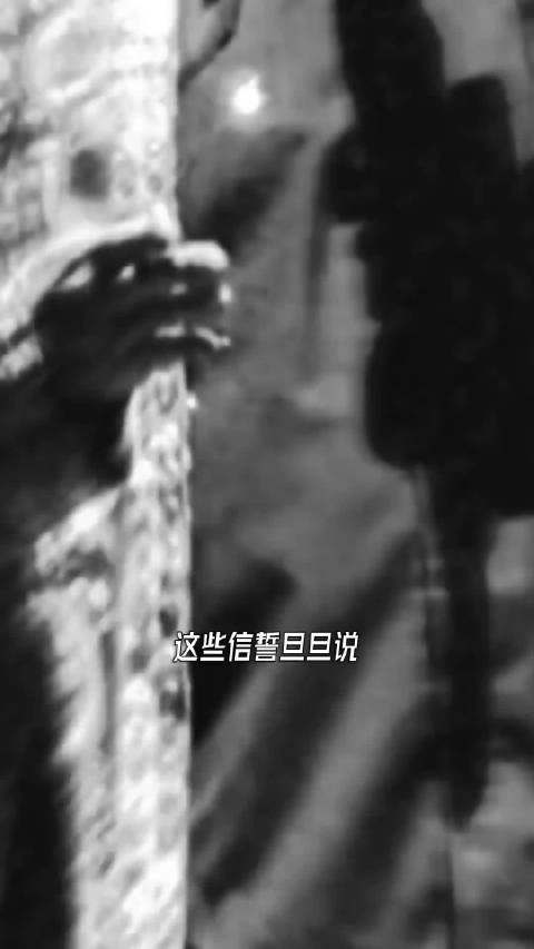 他们说的丁克，别信