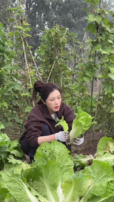 曾黎调侃掰白菜叶子配台词，回忆十年前剧女孩掰花瓣问爱