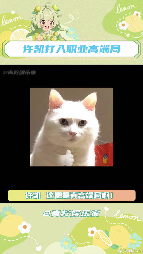 不说了，我现在去玩狂野激斗还能排到哥哥吗许凯 微博VC计划