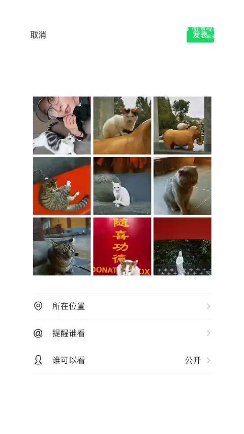 十二月，昼短情长， 愿我们都能在漫长的冬夜里， 被温暖的人和事紧紧包围