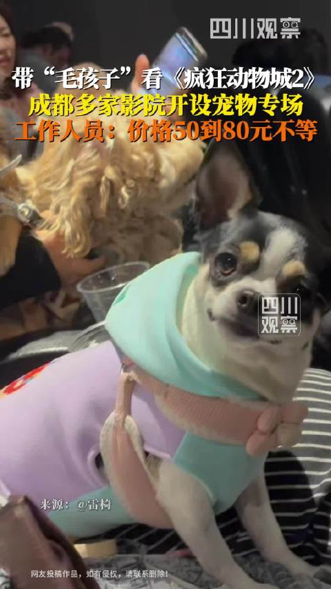 影院回应疯狂动物城宠物专场：目前已经举办了4场