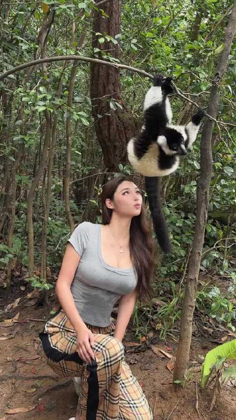 马达加斯加可爱的小动物们，看到心都化了