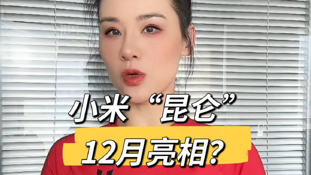 小米要出全尺寸混动SUV啦！