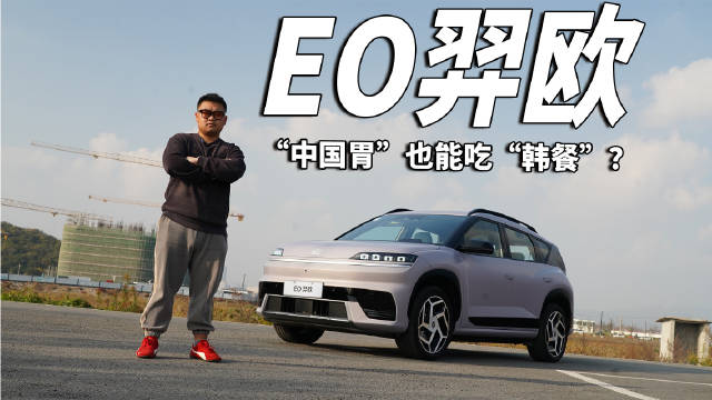 新能源市场华系德系争锋韩系表现引关注