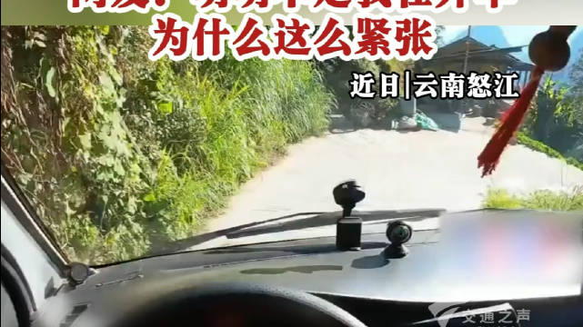 网友：明明不是我在开车为什么这么紧张