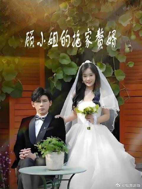 顾小姐的拖家赘婿-第34集-顾念筠的婚姻变成了家族斗争的战场，如何在爱情与事业中反击逆袭！顾小姐的拖家赘婿蛙舞剧场