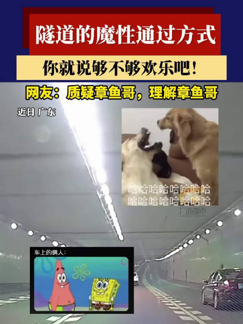 网友驾车穿越欢乐隧道变身海绵宝宝派大星