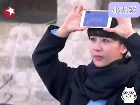 洽洽瓜子动态引争议，多家品牌互动杨紫躺枪