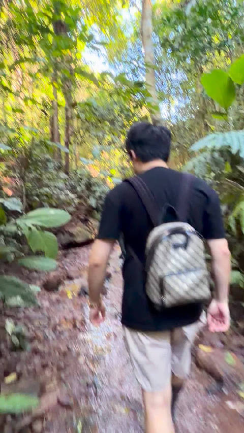 与世界断联的5个小时，在雨林疯狂呼吸