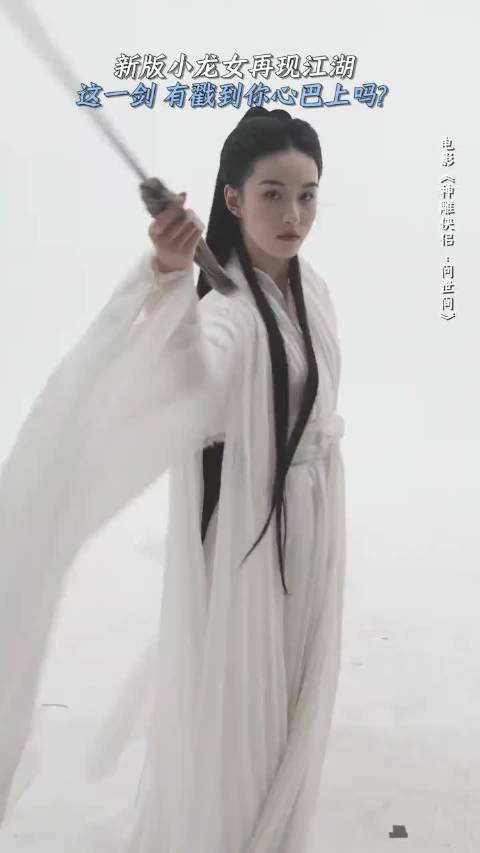 新版神雕侠侣的小龙女，王梓莼如何