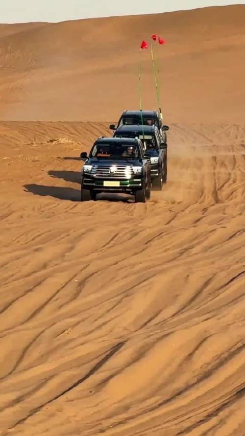 看的我也想去沙漠玩了