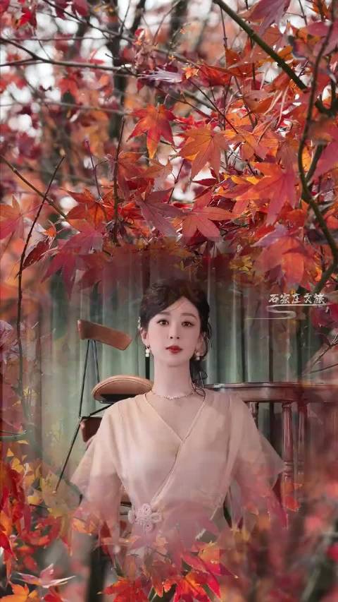 用杨紫的香蜜转场回顾石家庄如画的秋天