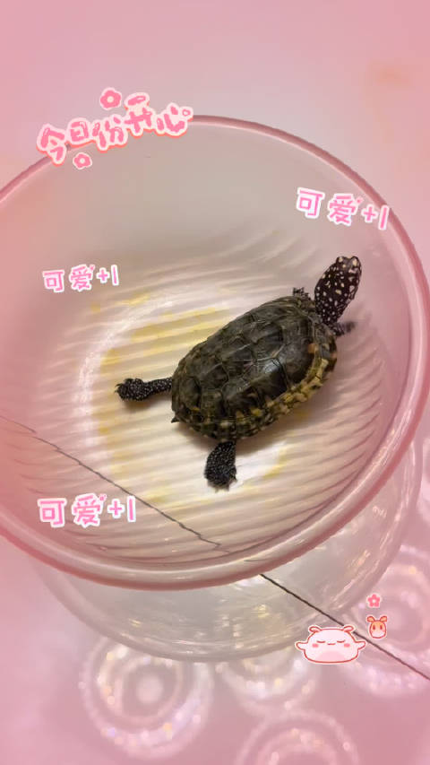 有一颗想越狱的心