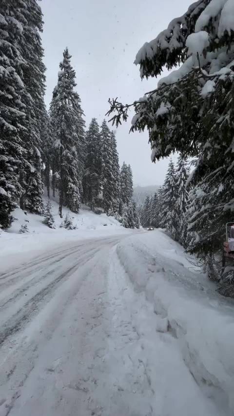 速来围观GTR R35的雪地漂移，爽就完事了