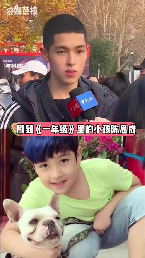 初代互联网小孩长大，陈思成王梓璇安淇尔西蒙子引养成系感慨