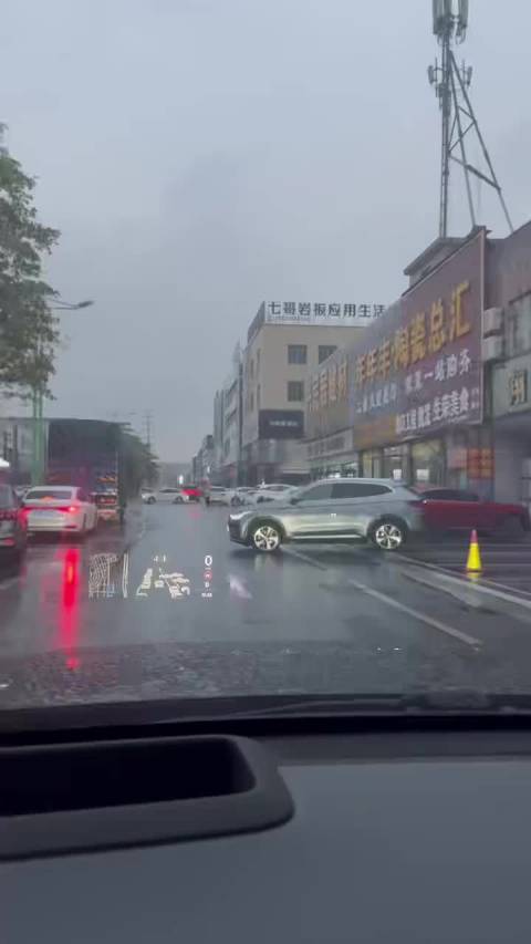 斗地主剩俩王我都不敢托管！现在司机动不动就离线自动泊车