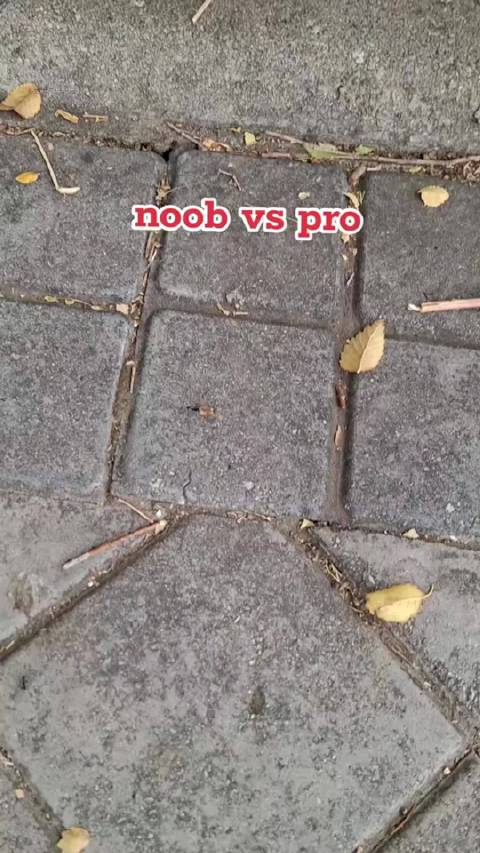 小蚂蚁也卷起来了