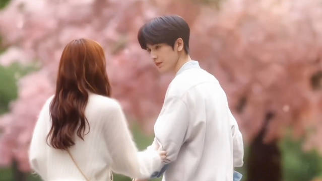 沈惜凡告白何苏叶，何苏叶回应三十岁恋爱观