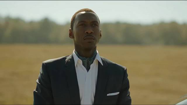 豆瓣高分电影绿皮书，值得一看！