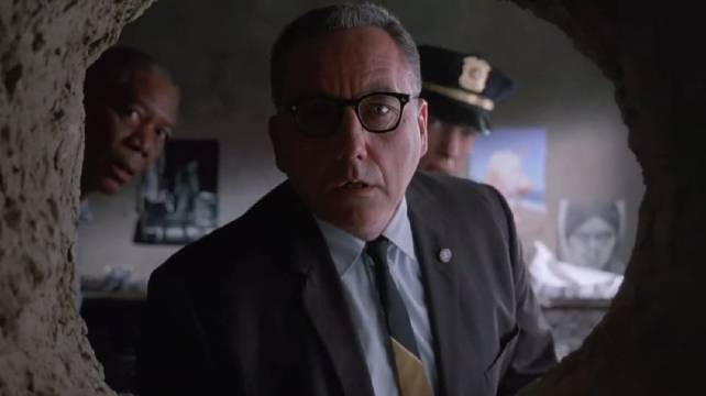 有些鸟儿注定是关不住的，因为它们的每一片羽毛都闪耀着自由的光辉