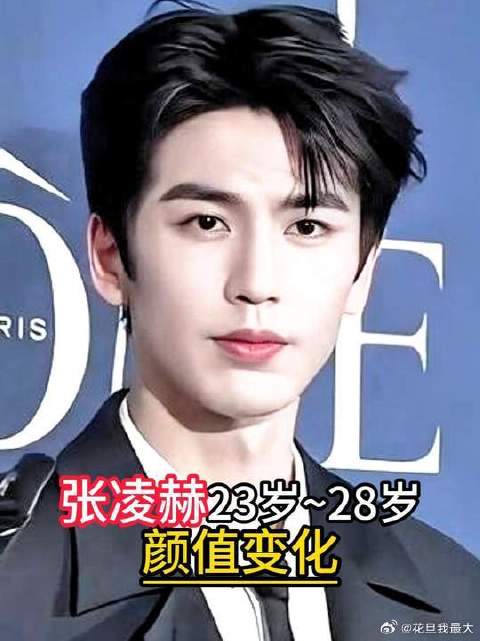 一分钟看完张凌赫出道五年，荧幕变化