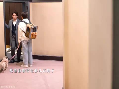 真是开眼了，一时分不清谁是狗！ 霍建华 朱珠