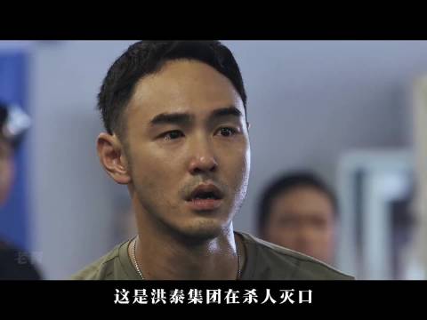 孤胆杀手忠心保镖堕落警察实为七年复仇联盟