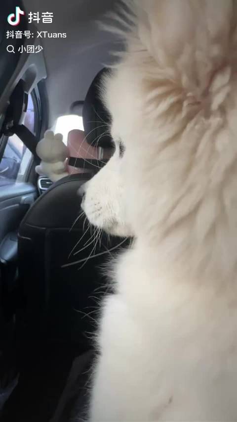 韩雪现身引热议