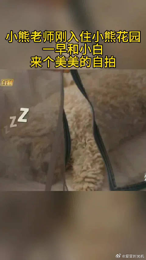 大张伟与爱犬小白亲密互动,抱狗滑滑梯画面温馨