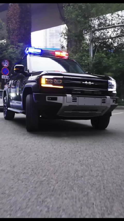 比亚迪在国外也有编制了