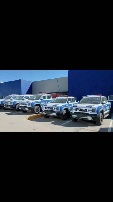 比亚迪公务车海外走红，多国采购彰显中国技术实力