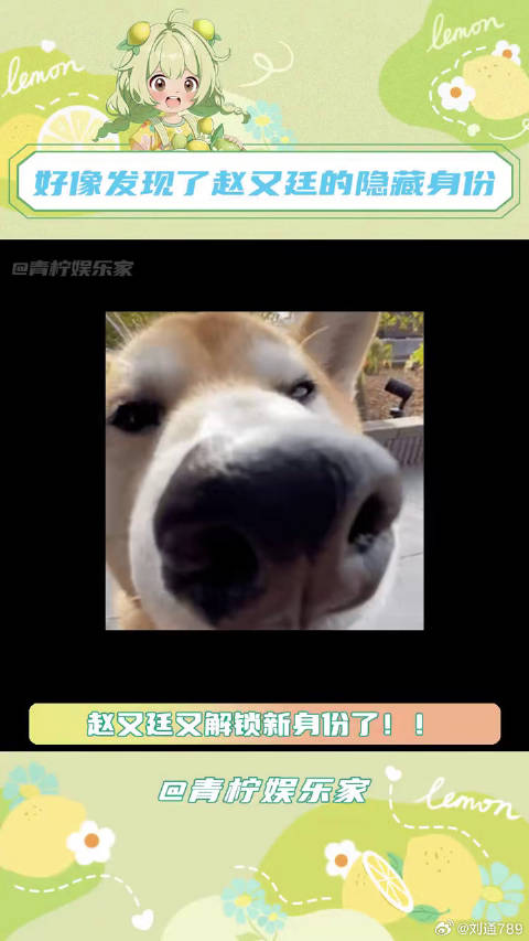 期待下一步的大动作！ 赵又廷新戏搭子君越微博VC计划