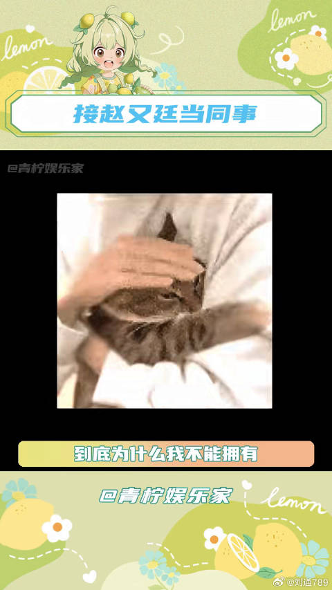 请把这样的同事分给我！ 赵又廷的君子之道 赵又廷好眼光 微博VC计划