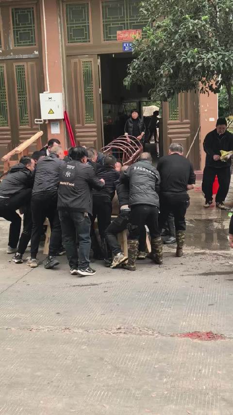 杀福猪啦，十几个人都按不住，还被越狱成功了