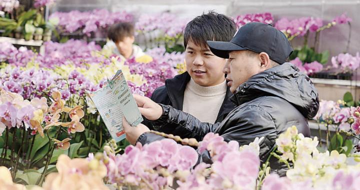 “这个‘法律明白人’还真不简单”