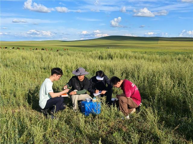 博士后马腾（左二）带领团队在牧区采集乳酸菌样品。（受访者供图）