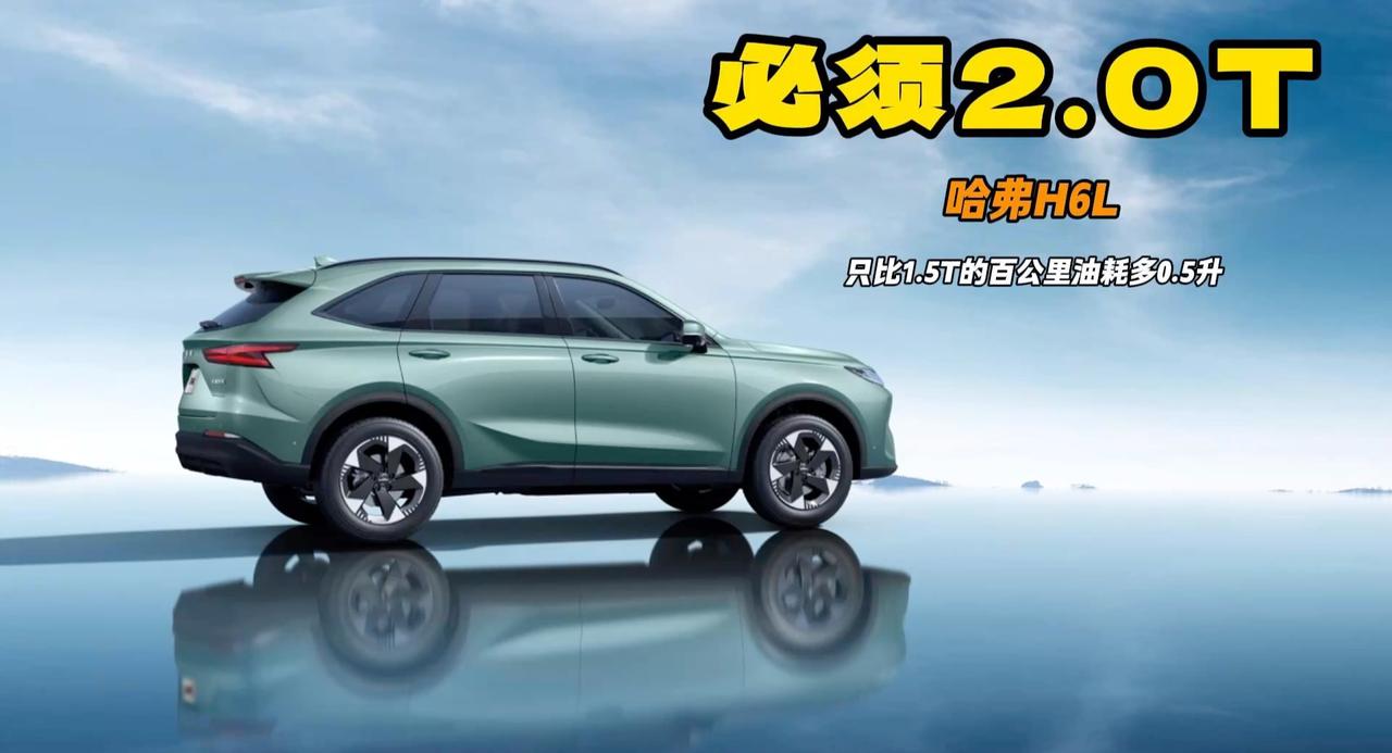 买2.0T高功率燃油SUV 哈弗H6L了解一下 家庭使用10年没问题