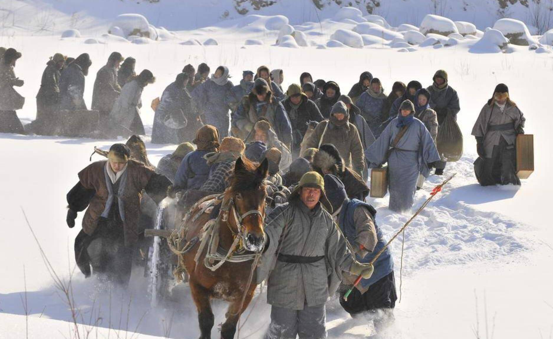 山东、黑龙江两省图书馆联手征集“闯关东”实物资料—共同守护迁徙记忆，助力文旅融合发展