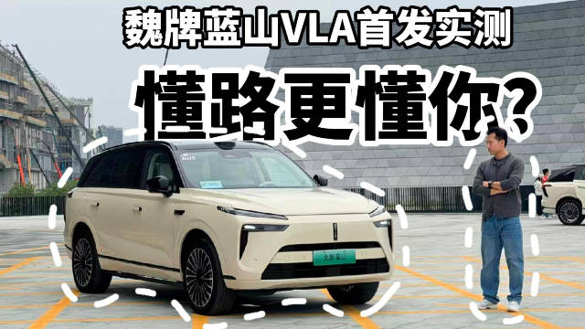 魏牌蓝山VLA首发实测：懂路更懂你？