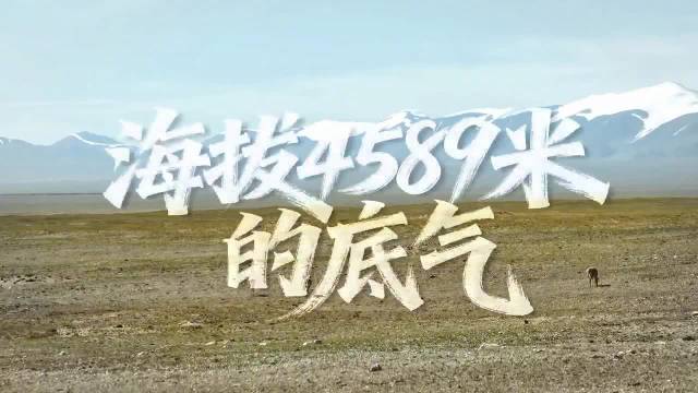 捷途纵横G700开启可可西里守护之旅