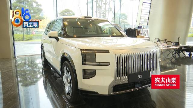 极氪忠粉看到群消息后怀疑插队提车 截图疑虑靠沟通