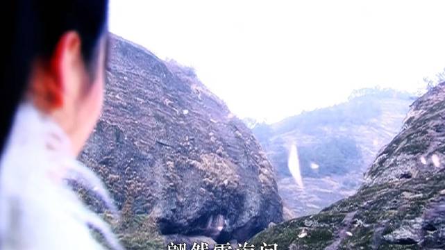 狸猫虽有九条命，可每条命都是用来救别人的