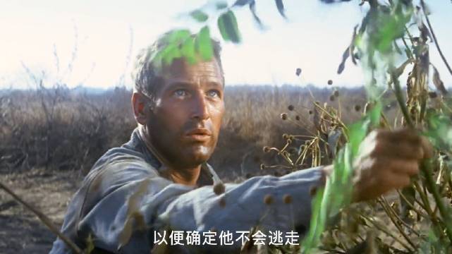 每一次越狱男人都会受到更严厉的处罚，可他却越挫越勇