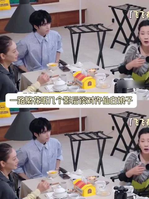 刘嘉玲力挺白娘子，叶童何赛飞理性解读新白娘子传奇