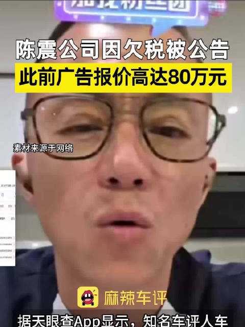 陈震公司因欠税被公告 此前广告报价高达80万元