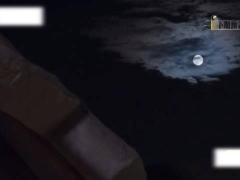 梁淞称张曼玉来了也不管用，直言爱人只是家人