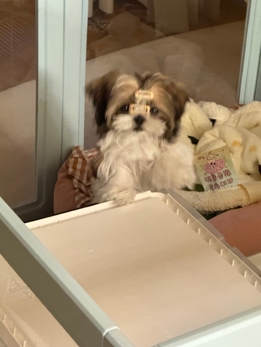 超级越狱大王，这么高的箱子也能上